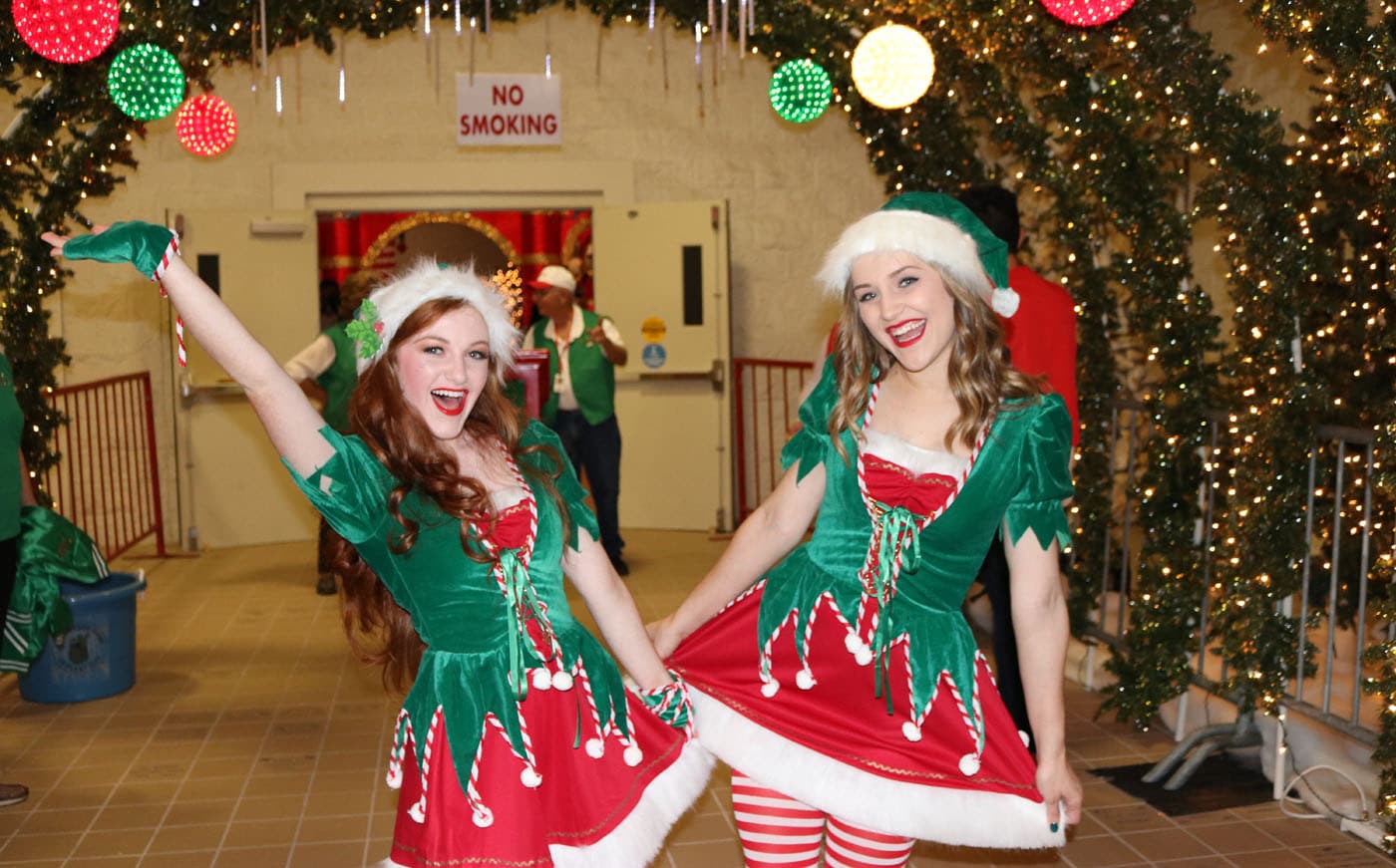 Frequently Elfed Questions