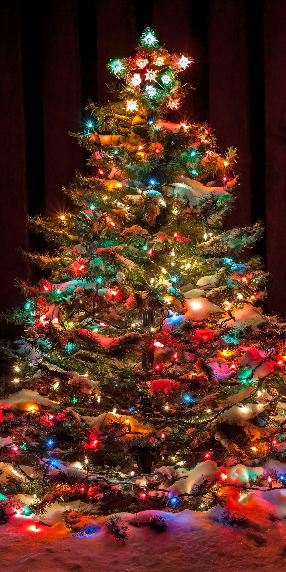 200+ Decorated Christmas Trees